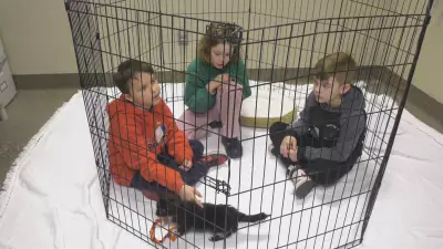 Students Make Recycled Toys for Shelter Animals in Edmonton Class Project