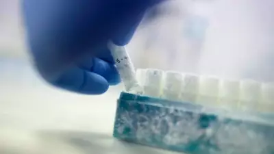 Study Reveals Sperm Quality Peaks in Summer Months, New Research Finds