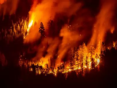 Survey: Over Half of B.C. Residents Unprepared for Wildfires