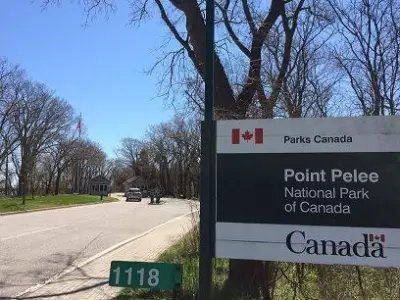 Suspected Waterfowl Poaching Reported at Point Pelee National Park