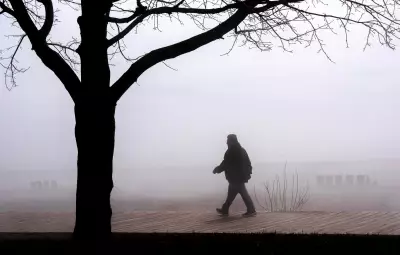 Toronto Braces for Heavy Rain as Special Weather Statement Issued