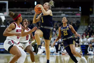 Toronto Tempo Sign Guard Dara Mabrey to Training Camp Contract