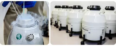 Toronto Zoo Secures $1M Donation for Endangered Species Genetic Preservation