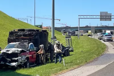 Traffic Stalled as Million-Bee Swarm Escapes from Crashed Truck on Tennessee Highway