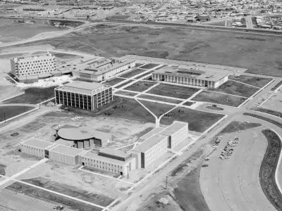 University of Calgary Aims for Dinosaur World Record at 60th Anniversary Festivities