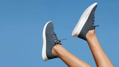 Vanda Research Predicts New Meme-Stock Surge Beyond Allbirds