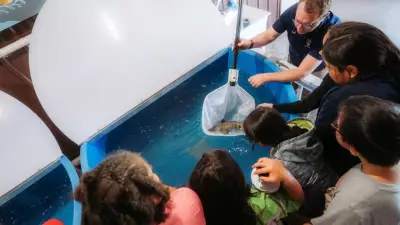 Walpole Island School Launches Fish Hatchery for Hands-On Science Education