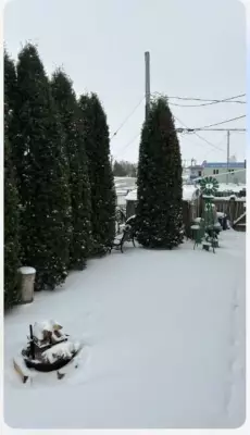 Warm Weather Expected All Week in Calgary Starting April 27