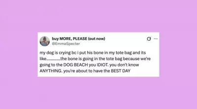 Weekly Roundup of Hilarious Pet Posts to Brighten Your Day