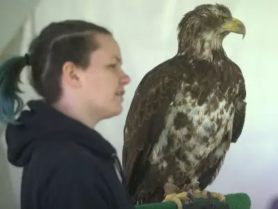 Windsor Earth Day Draws Hundreds to Malden Park for Family Fun
