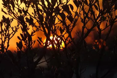 Windsor-Essex Weather Turns Unsettled: Sun to Showers After Today