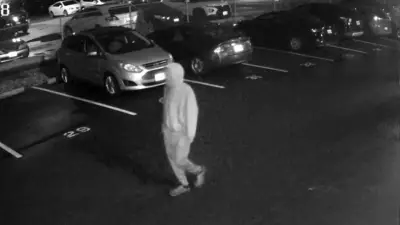 Windsor Police Seek Suspect in Wyandotte Street East Vandalism Investigation