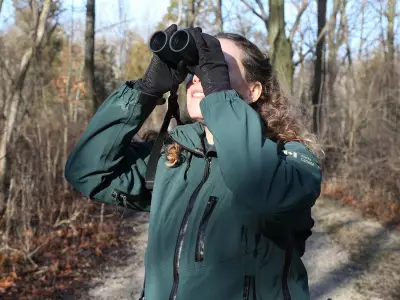 Windsor Weekend Guide: Stargazing, Music, Wine Hikes, and Local Events