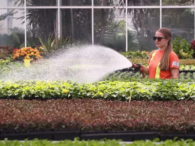 Windsor's Annual Perennial Plant Sale Set for May 2 at Jackson Park