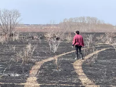 Winnipeg Grass and Brush Fire Scorches One Acre Under Investigation