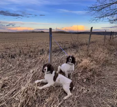Winter's Return: Calgary Braces for Late-Season Snowfall This Week