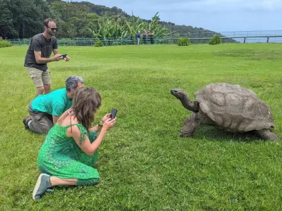 World's Oldest Tortoise Jonathan, 193, Survives April Fool's Death Hoax