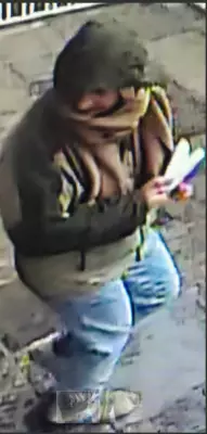 York Police Seek Suspect in Vaughan Synagogue Assault; Other Crimes Reported