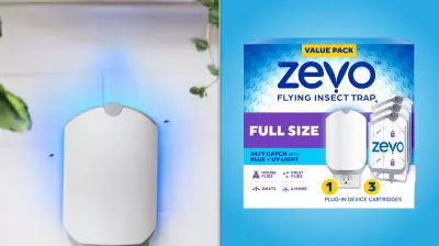 Zevo Insect Trap: A $20 Solution to Conquer Pesky Flying Bugs at Home