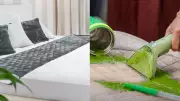 8 Best Mattress Cleaners: UV Vacuums, Sprays & Protectors