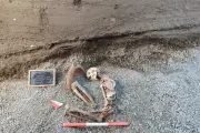 AI reconstructs image of Pompeii eruption victim from AD 79