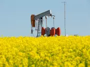 Alberta's Oil and Agriculture Drive Canada's Slowing Economy: Deloitte Report