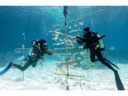 Bahamas to Host 2027 Global Sustainable Tourism Council Conference