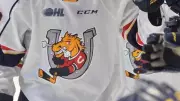 Barrie Colts Crush Niagara IceDogs 9-6, Seize Commanding Playoff Series Lead