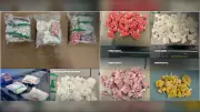 BC Anti-Gang Unit Seizes 3.5kg of Drugs in Surrey Traffic Stop, Makes Two Arrests