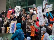 B.C. Court Awards Full Aboriginal Title to Nuchatlaht Nation Over Nootka Island