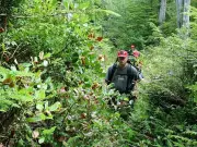 B.C. Court of Appeal Grants Nuchatlaht First Nation Full Aboriginal Title Claim