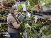 B.C. Gardeners and Farmers Brace for Record-High Temperatures