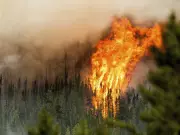 BC Innovations: Lithium Plant Opens with North American First, AI Predicts Wildfire Risks