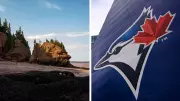 Blue Jays Partnership Could Boost New Brunswick Tourism: Expert