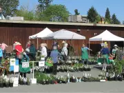 Brian Minter's Guide to Spring Gardening Sales and Events Across British Columbia