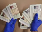 Caledon Woman Charged After Fake Passports Seized at Pearson Airport