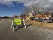 Calgary Petting Zoo Closed After Five Crypto Cases Linked to Infected Calf