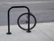 Canada's Erosion of Social Trust: From Urban Centers to Small Towns