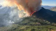 Canadian Insurers Strengthen Homes, Urge Carney to Prioritize Climate as Wildfire Season Begins