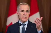 Canadians Polled on Carney Government Shortfalls in First Year
