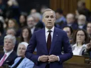 Carney's Political Maneuvers Spark Division, Not Unity, in Canadian Government