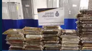 CBSA Seizes 85kg of Cocaine at Alberta Border Crossing, Destined for Calgary