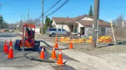 Chelmsford Residents Furious Over Delayed Flood Emergency Declaration