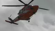 Child, 2, in stable condition after airlift from fatal Mulmur crash: Police