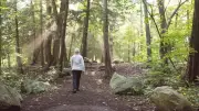 Connecting with Nature: The Rise of Forest Bathing and Its Benefits