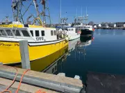 Cool Ocean Temperatures and High Fuel Costs Spark Concern for Nova Scotia Lobster Industry