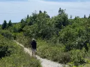 Court Rules Nova Scotia Forest Ban Violated Charter Rights Without Notwithstanding Clause