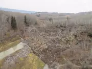 Cracking at Old Fort Slide Prompts Shelter-in-Place Order in Northeastern B.C.