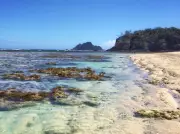 Cruise Ship Grounding Off Fiji's 'Cast Away' Island Sparks Environmental Concerns