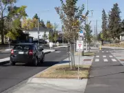 Edmonton Residents Warned City About 132 Avenue Redesign Issues